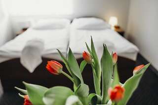Отели типа «постель и завтрак» Villa Leśne Ustronie Lubiszewo Двухместный номер с 2 отдельными кроватями-1